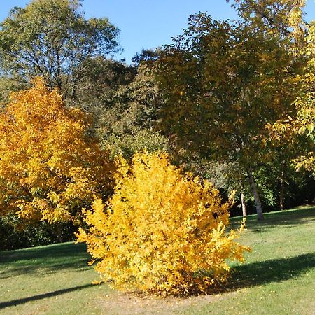 مبيت وإفطار Cleyrac Domaine La Bastide المظهر الخارجي الصورة