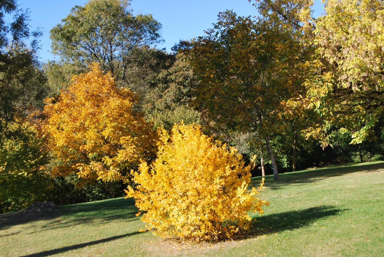 مبيت وإفطار Cleyrac Domaine La Bastide المظهر الخارجي الصورة